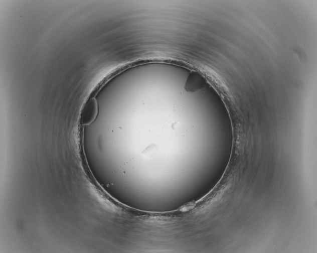 X0000111860942200907301128