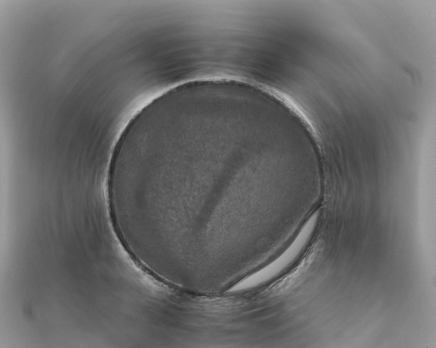 X0000111860943200907301128