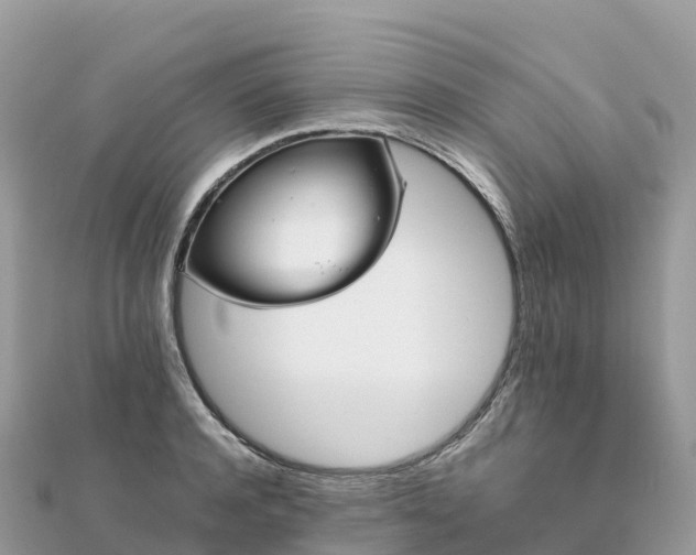 X0000111860944200907301128