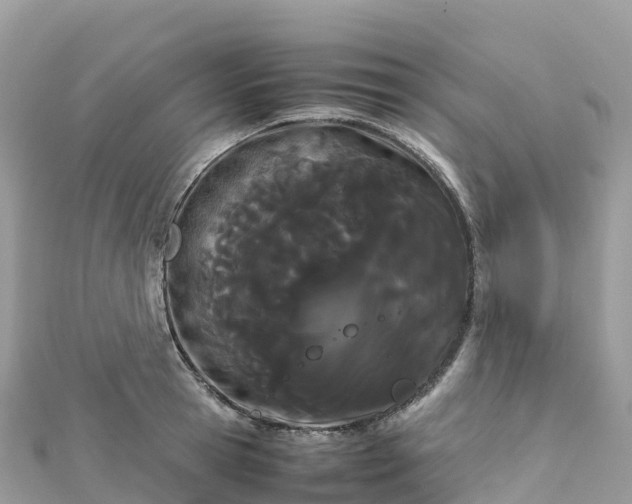 X0000111860945200907301128