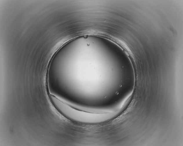 X0000111860946200907301128