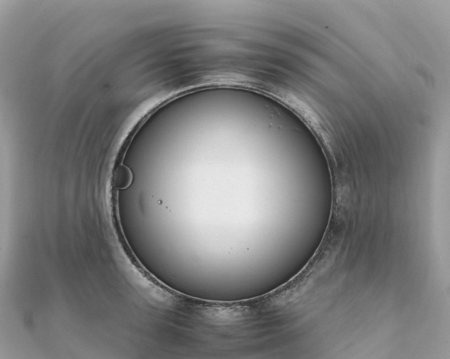 X0000111860947200907301128