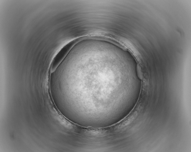 X0000111860948200907301128