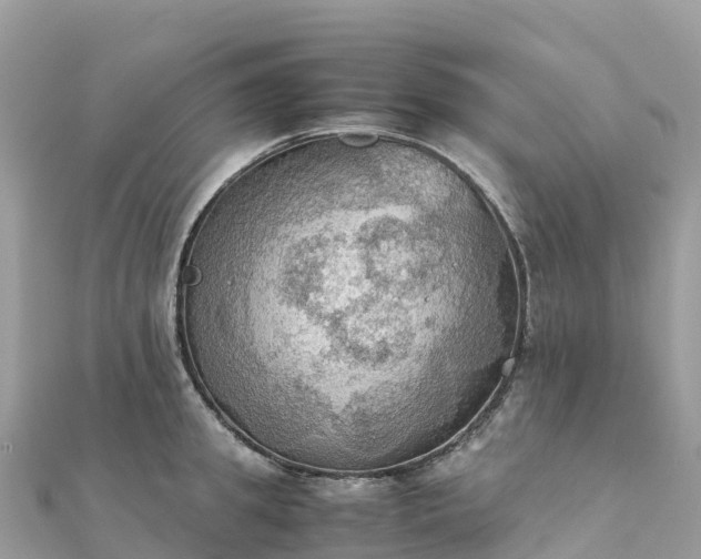 X0000111860949200907301128