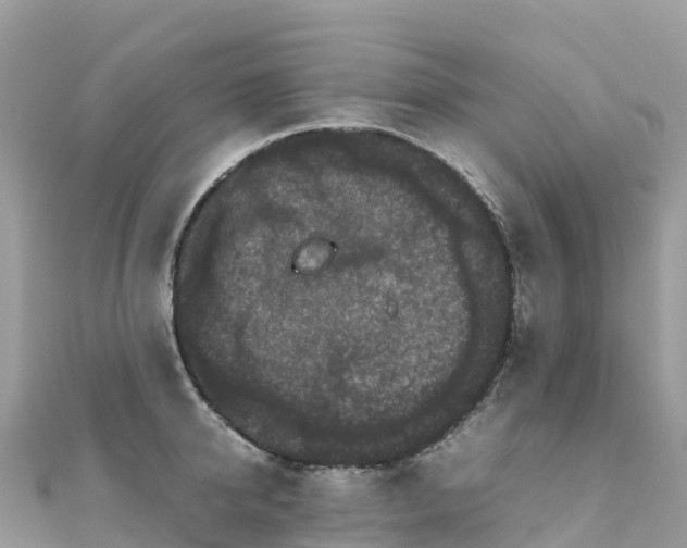 X0000111860950200907301128