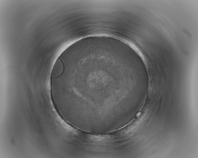 X0000111860951200907301128