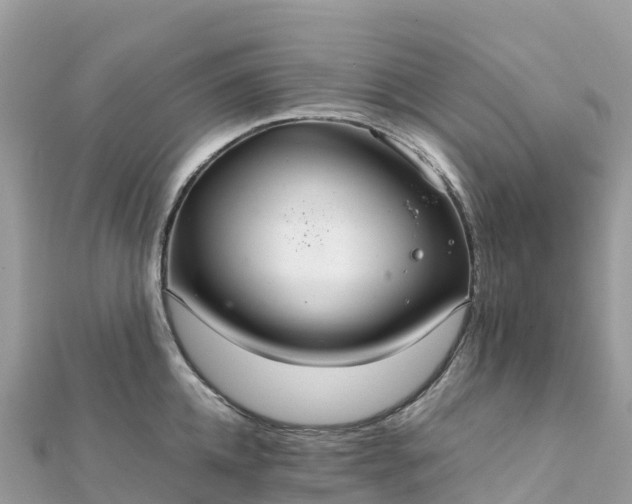 X0000111860952200907301128