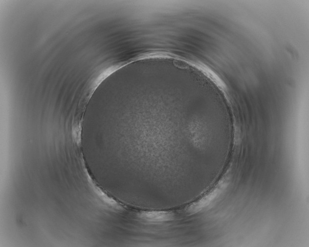 X0000111860953200907301128