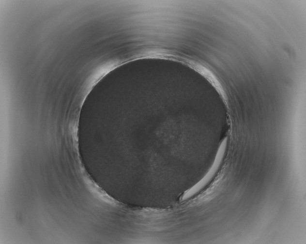 X0000111860954200907301128