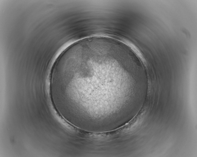 X0000111860955200907301128