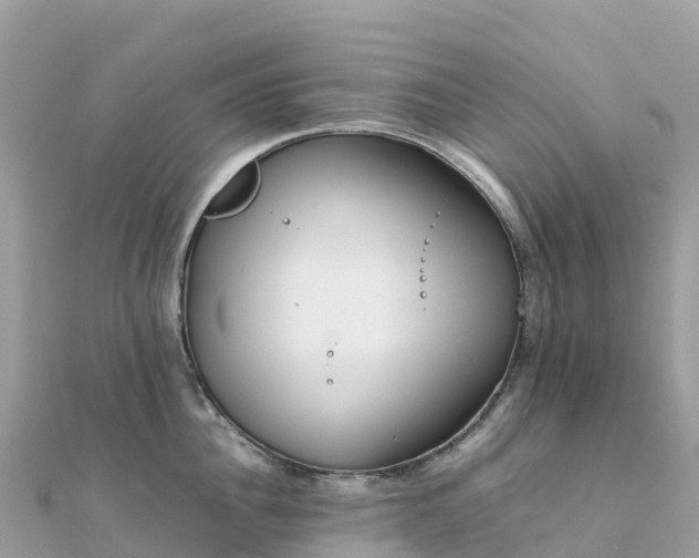 X0000111860956200907301128