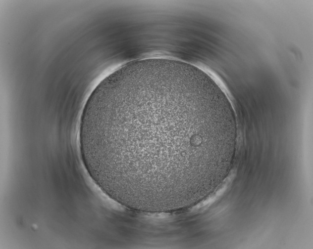 X0000111860957200907301128