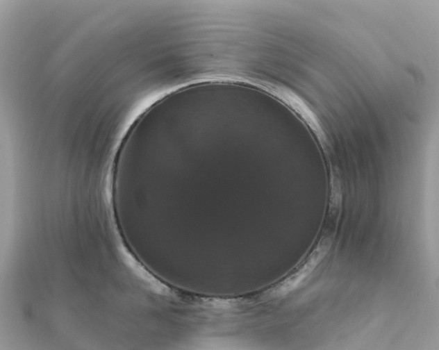 X0000111860958200907301128