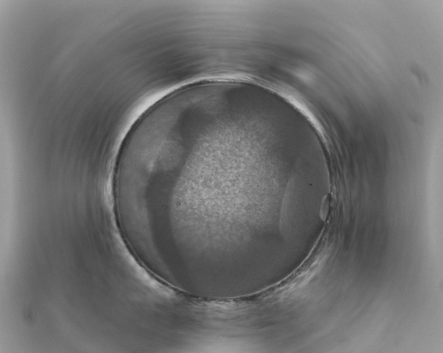 X0000111860959200907301128