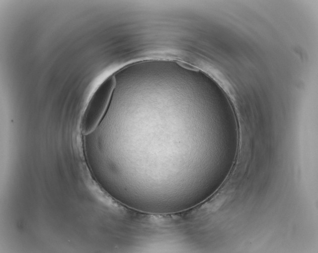 X0000111860960200907301128