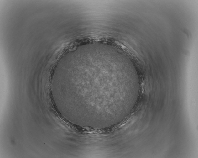 X0000111860961200907301128