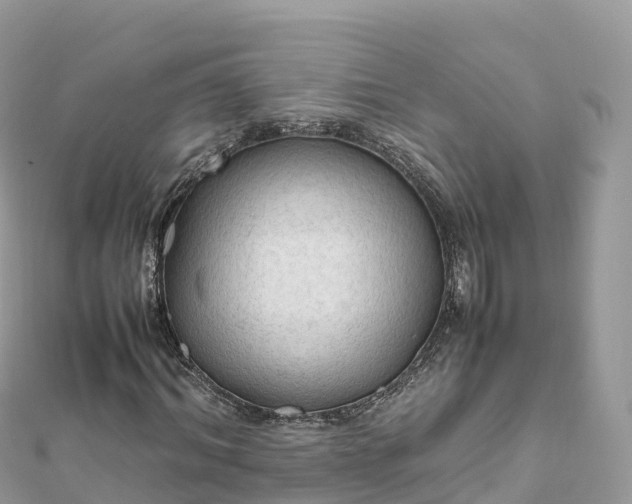 X0000111860964200907301128