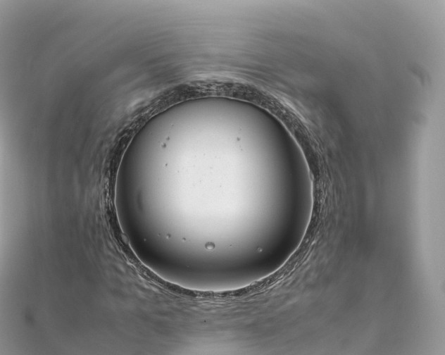 X0000111860965200907301128