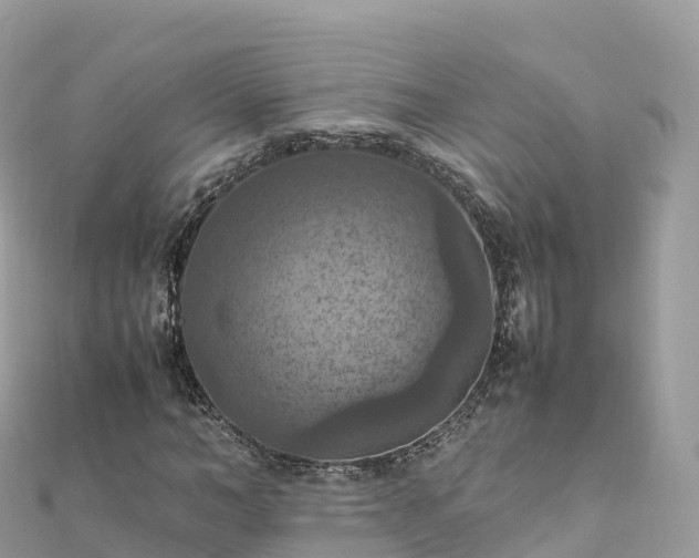 X0000111860966200907301128