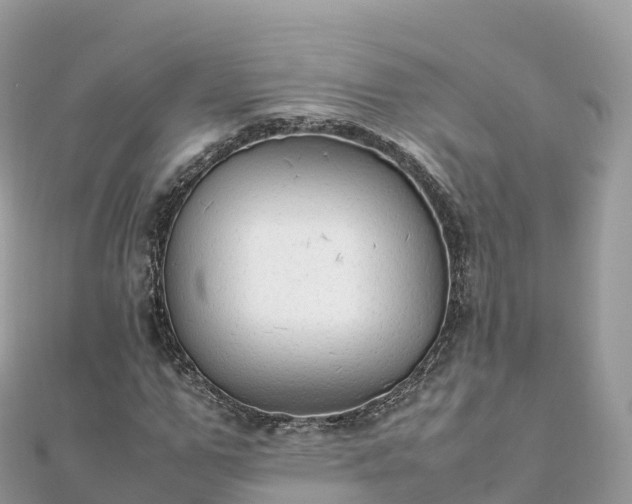 X0000111860967200907301128