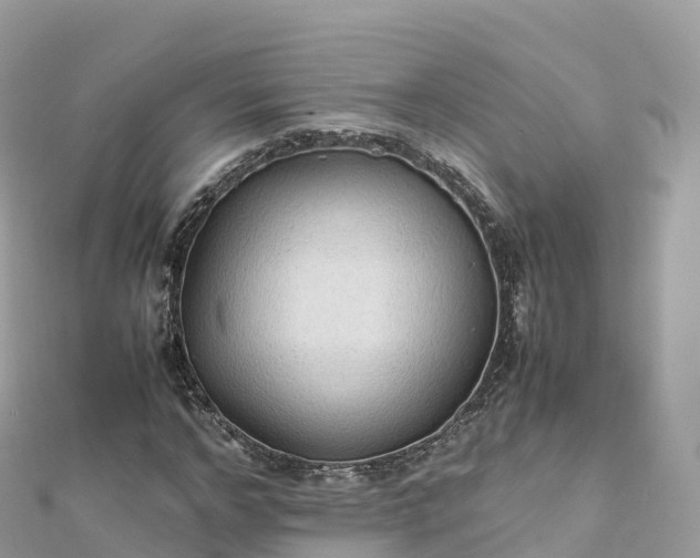 X0000111860968200907301128