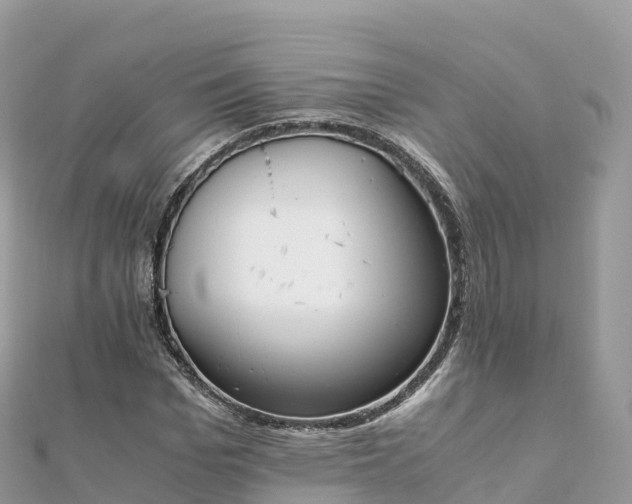 X0000111860969200907301128