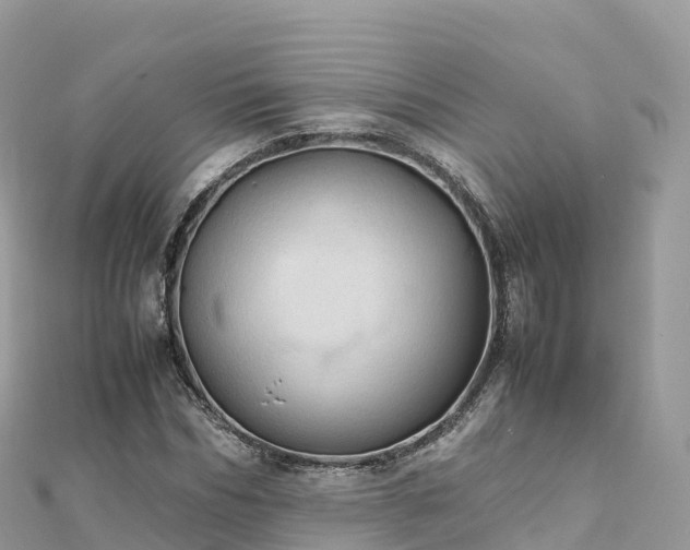 X0000111860970200907301128