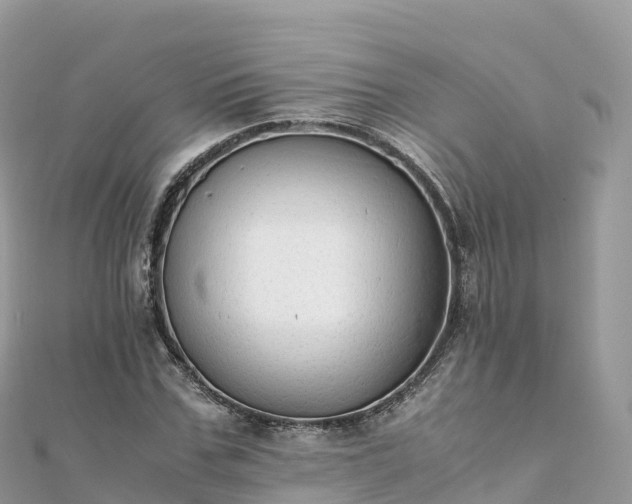 X0000111860971200907301128