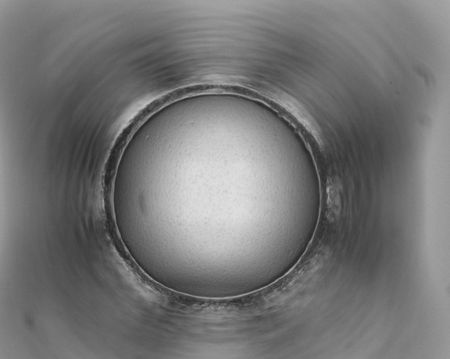 X0000111860972200907301128