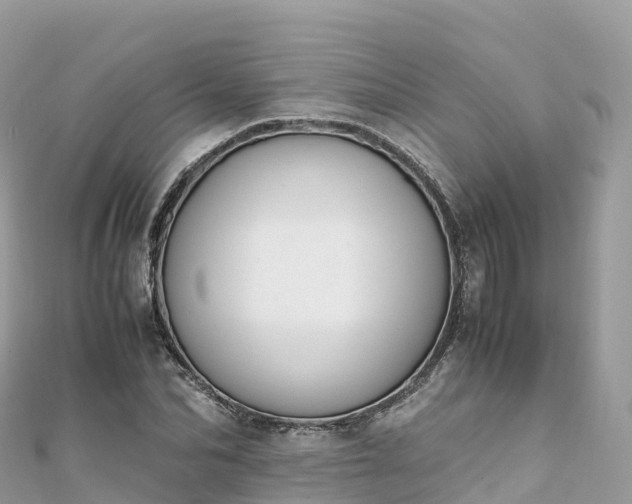 X0000111860974200907301128