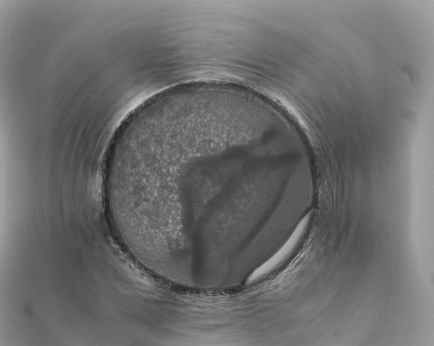 X0000111860975200907301128