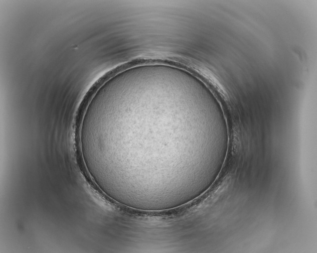 X0000111860976200907301128