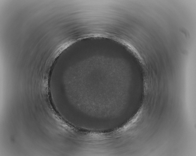 X0000111860977200907301127