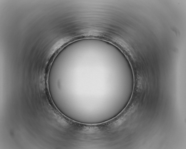 X0000111860978200907301127