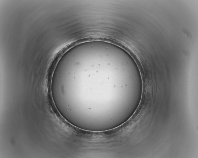 X0000111860979200907301127