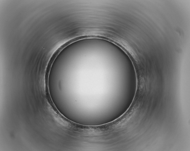 X0000111860980200907301127