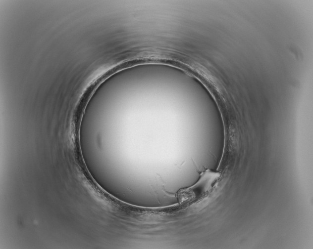 X0000111860981200907301127