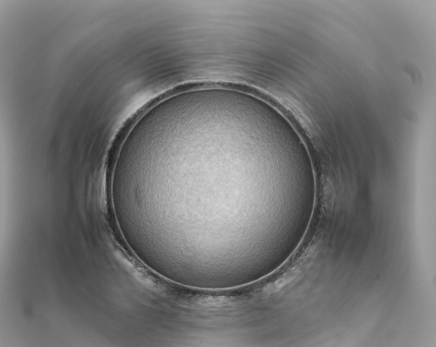 X0000111860982200907301127