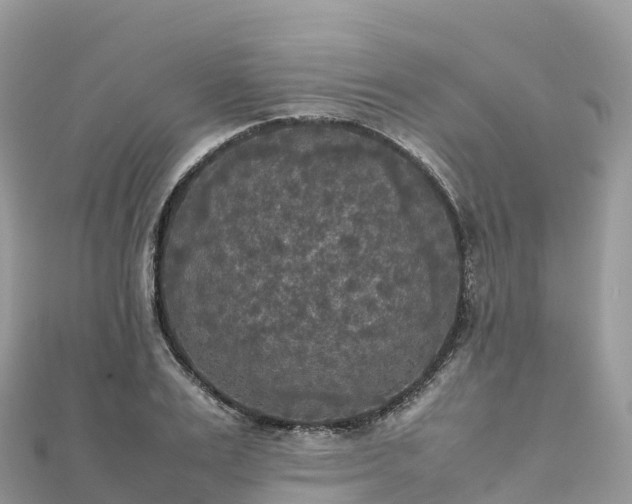 X0000111860983200907301127