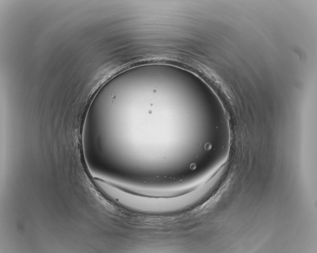 X0000111860985200907301127