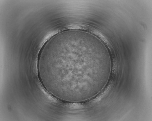 X0000111860986200907301127