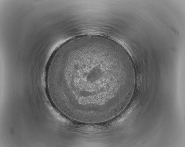 X0000111860987200907301127