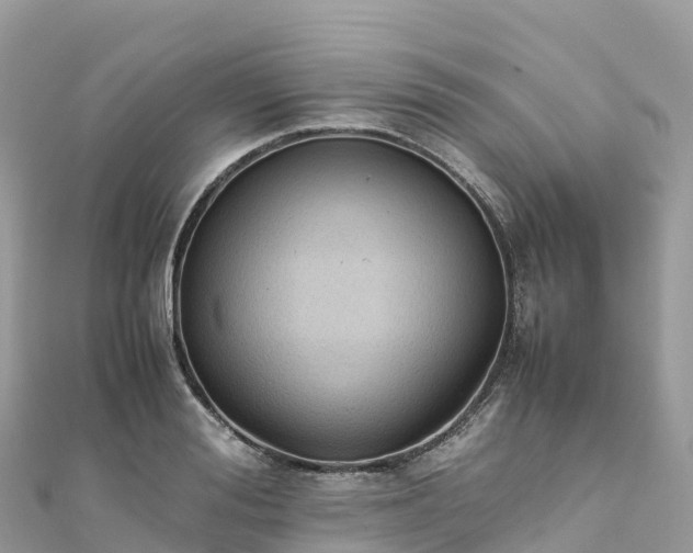 X0000111860988200907301127