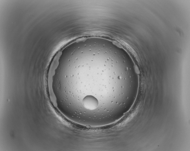 X0000111860989200907301127