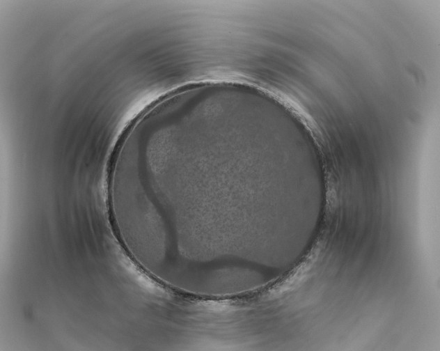 X0000111860990200907301127