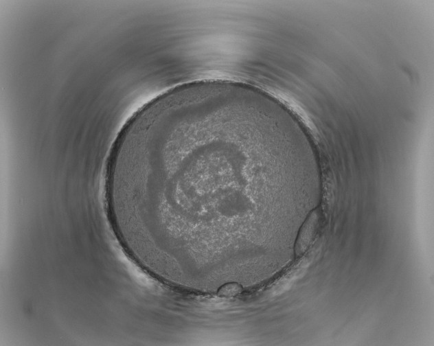 X0000111860991200907301127