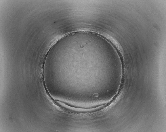 X0000111860993200907301127