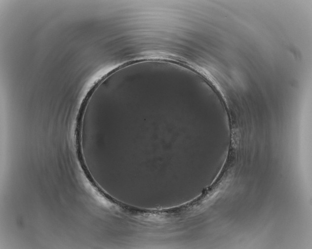 X0000111860995200907301127