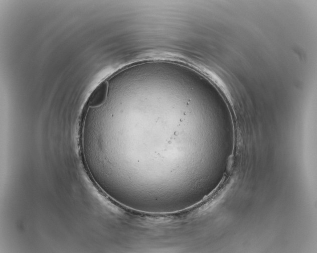 X0000111860997200907301127