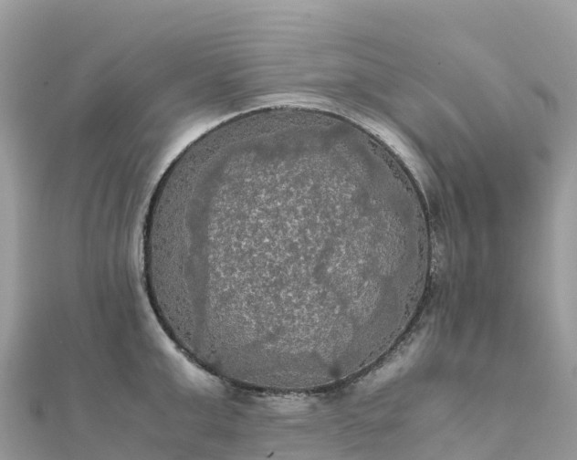 X0000111860999200907301127